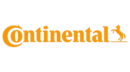 8a667552-6f33-466d-afa9-92978b1facd3_removalai_preview